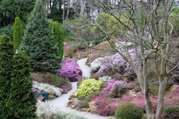 Chelsea-Flower-Bild-800x600